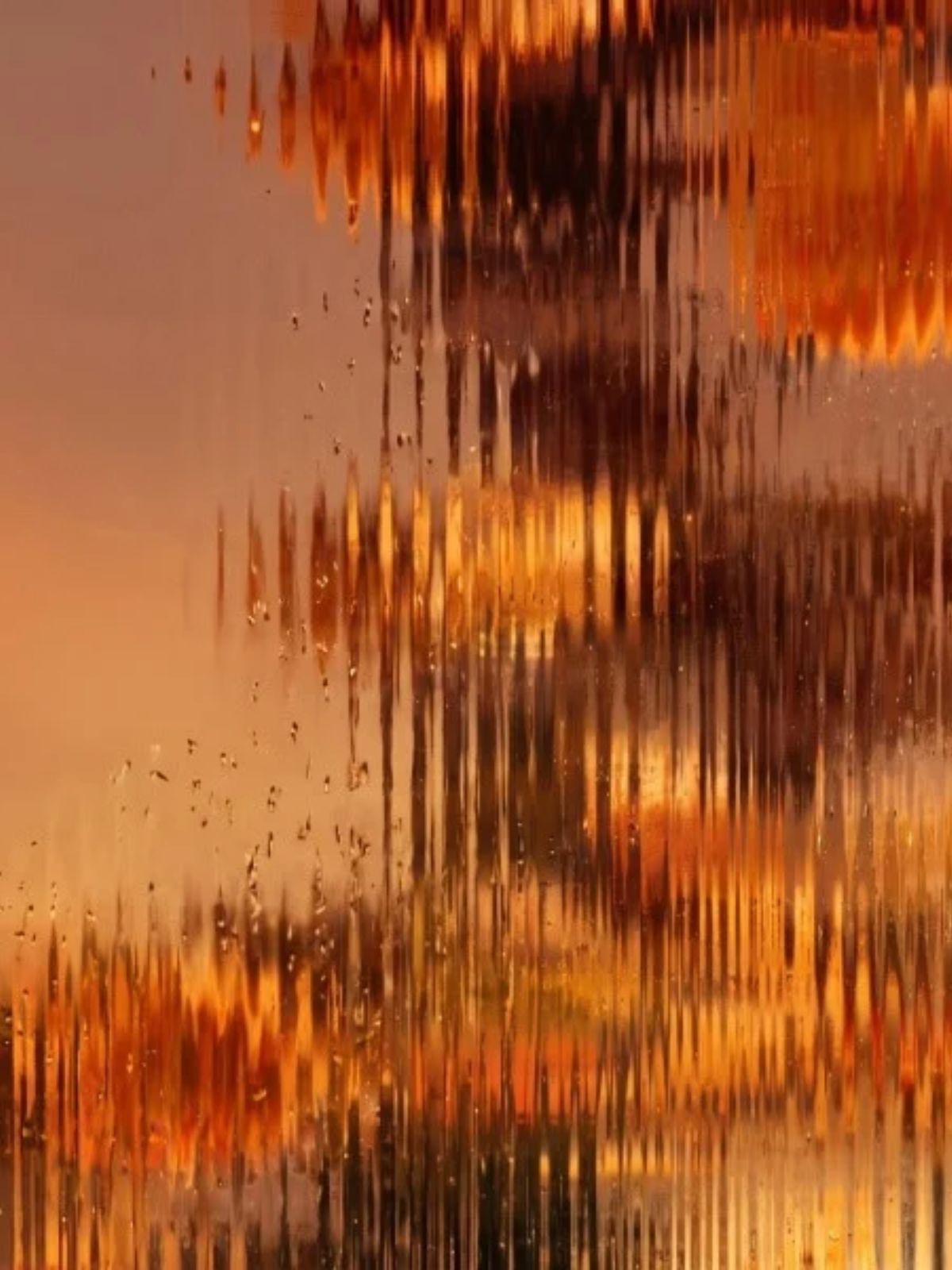 1200_1600